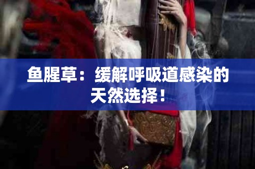 鱼腥草：缓解呼吸道感染的天然选择！
