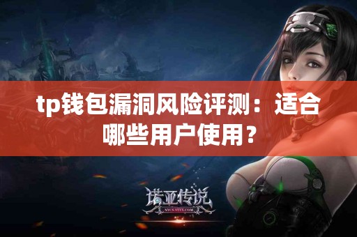 tp钱包漏洞风险评测：适合哪些用户使用？