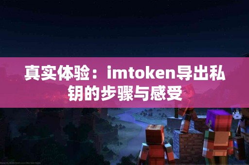 真实体验：imtoken导出私钥的步骤与感受