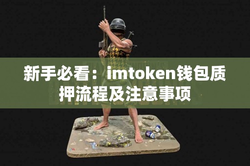 新手必看：imtoken钱包质押流程及注意事项